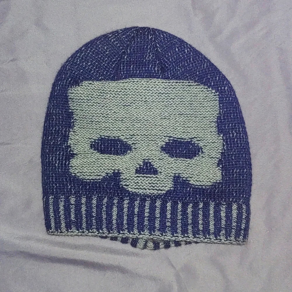 NWOT SKULL BEANIE * GRAY/BLUE * REVERSIBLE * SUPER THICK & SOFT * UNISEX - Picture 1 of 4